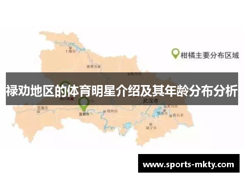 禄劝地区的体育明星介绍及其年龄分布分析
